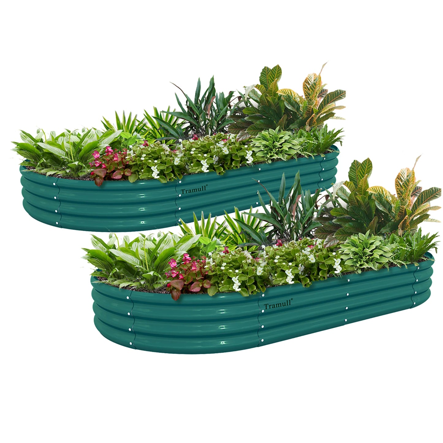 Tramull Galvanized Raised Garden Bed Kit 2 Pack Oval Planter
