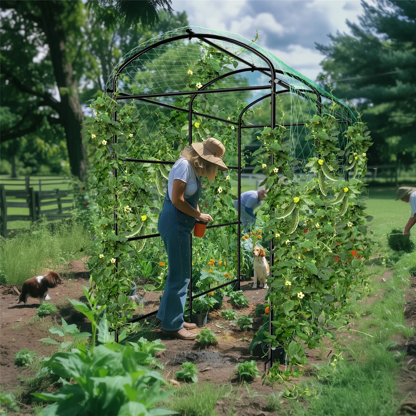 BINGOPAW Cucumber Trellis Garden Arch Plant Support Frame