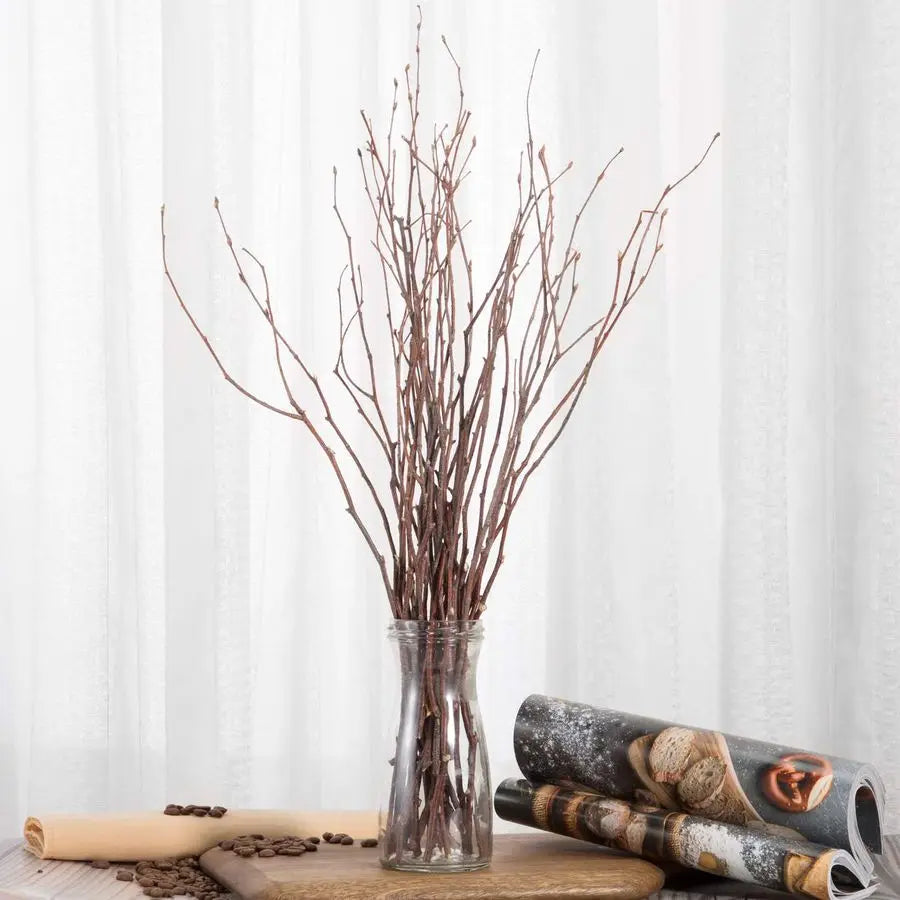 Birch Twigs 200 Count for Decorating and DIY Floral Arrangements