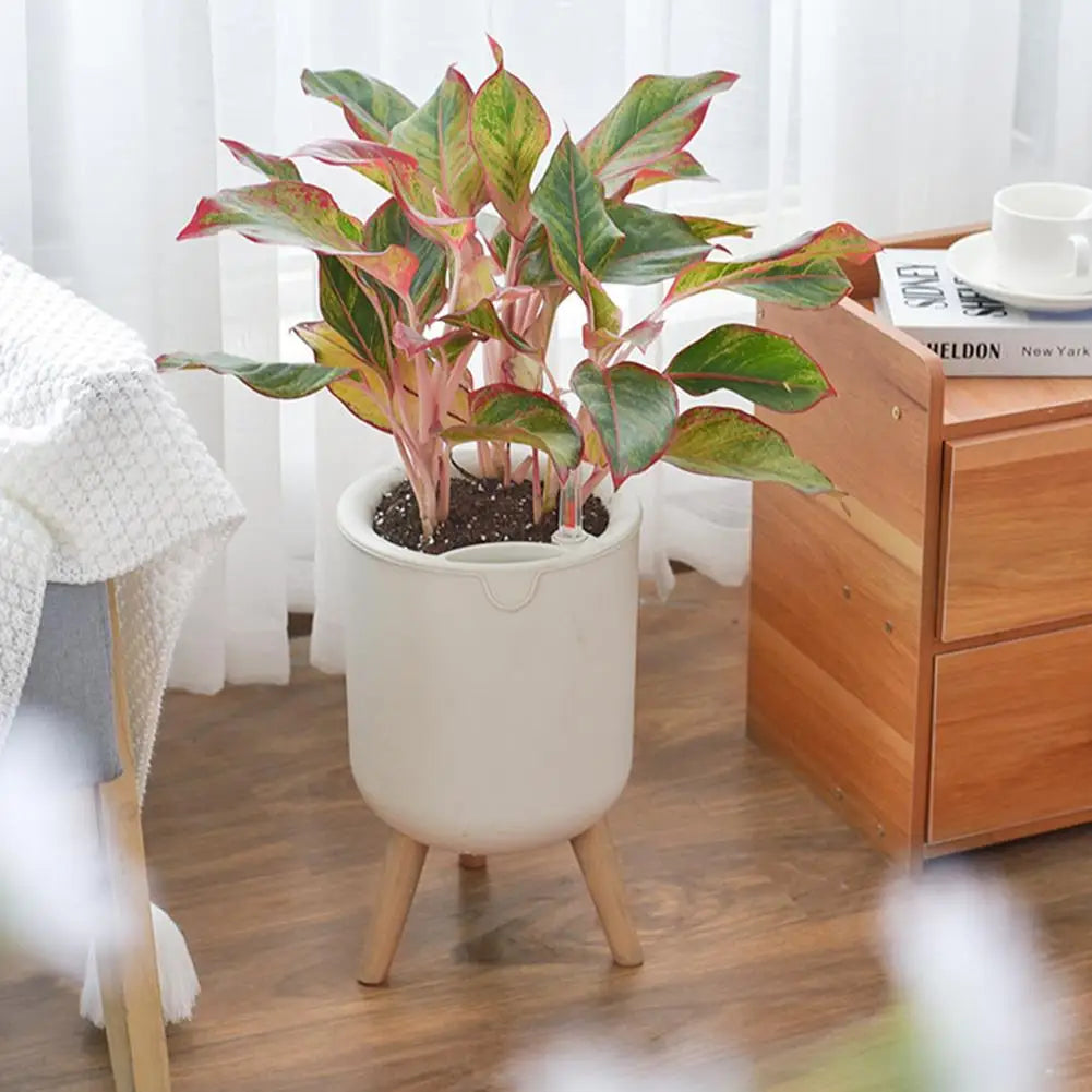 Automatic Self-Watering Bamboo Flower Pot With Wooden Bracket