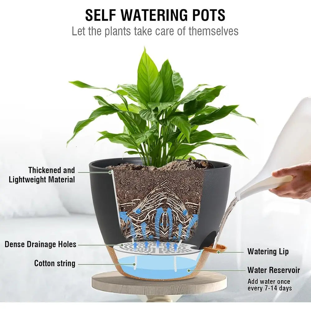 Self Watering Hanging Planters 10 Inch For Indoor Outdoor Use