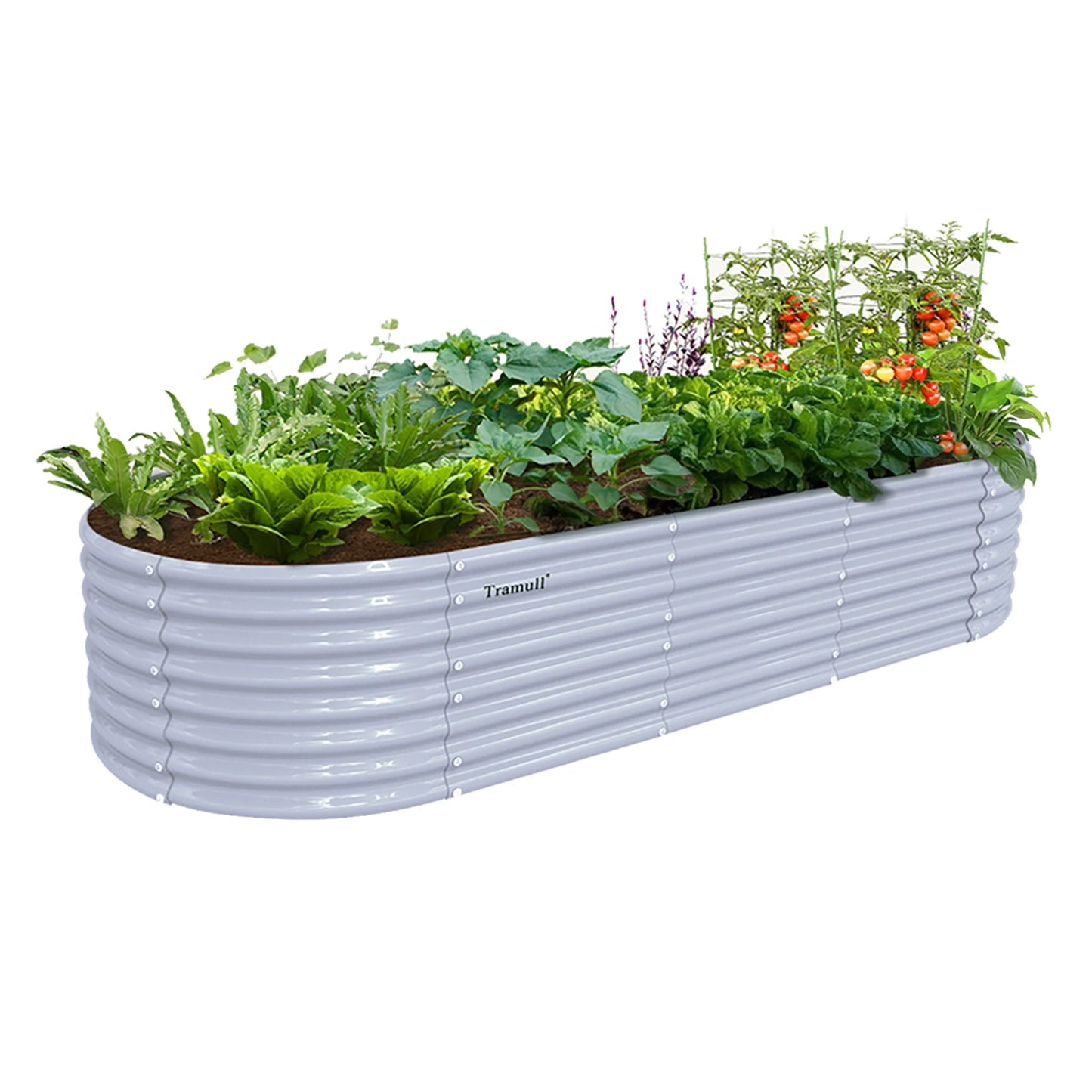 Tramull Galvanized Raised Garden Bed Kit Oval Planter Box