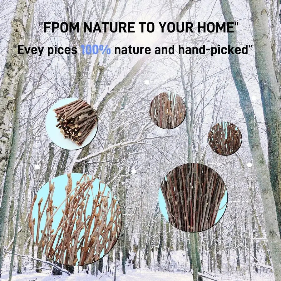 Birch Twigs 200 Count for Decorating and DIY Floral Arrangements