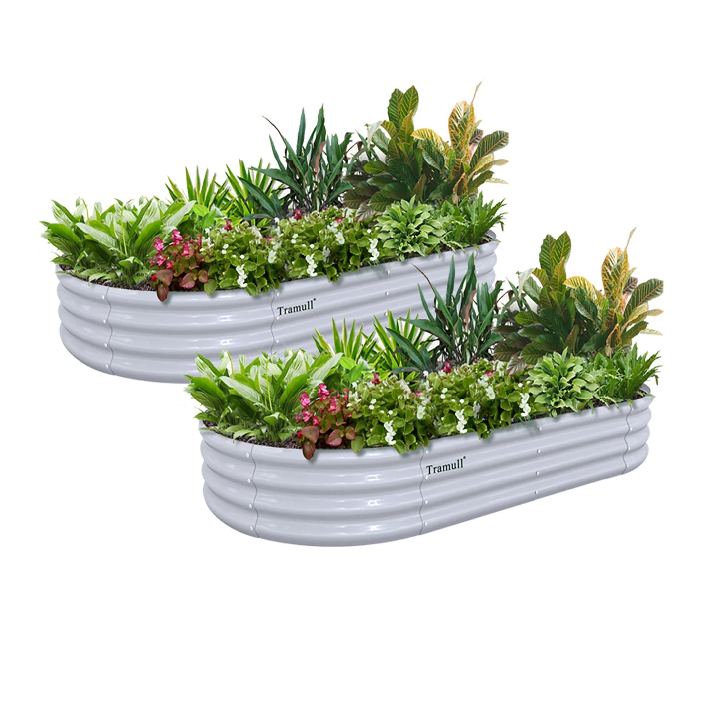 Tramull Galvanized Raised Garden Bed Kit 2 Pack Oval Planter