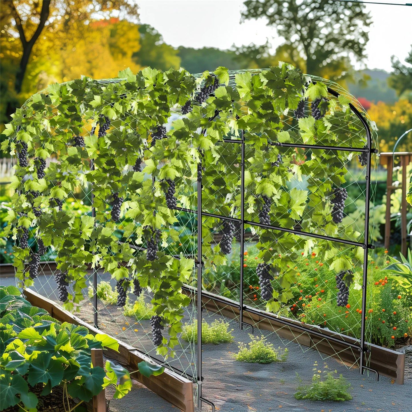 BINGOPAW Cucumber Trellis Garden U Shaped Grow Frame