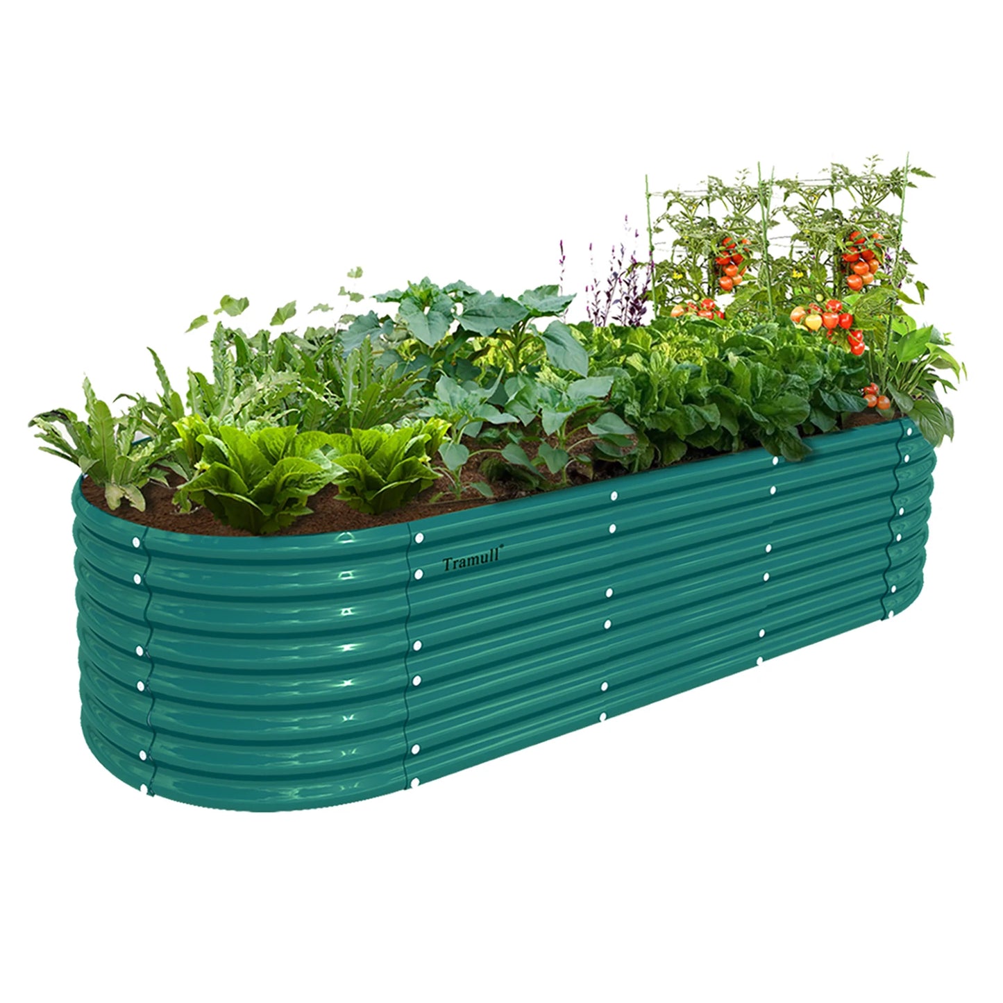 Tramull Galvanized Raised Garden Bed Kit Oval Planter Box