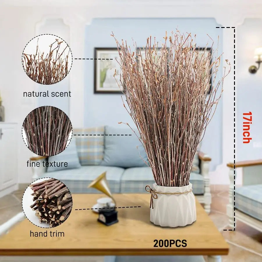Birch Twigs 200 Count for Decorating and DIY Floral Arrangements