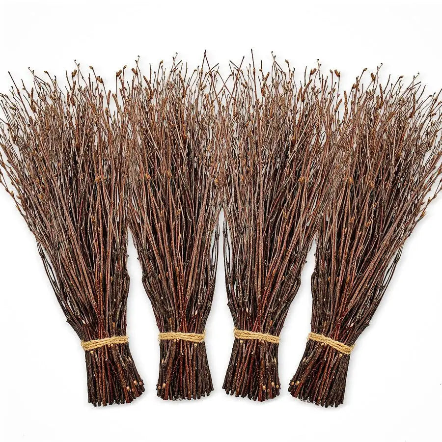 Birch Twigs 200 Count for Decorating and DIY Floral Arrangements