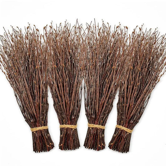 Birch Twigs 200 Count for Decorating and DIY Floral Arrangements